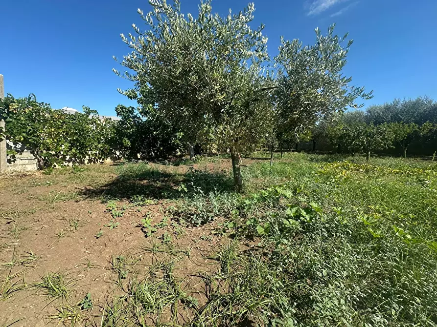 Immagine 14 di Terreno residenziale in vendita  in zona nazionale a Capua