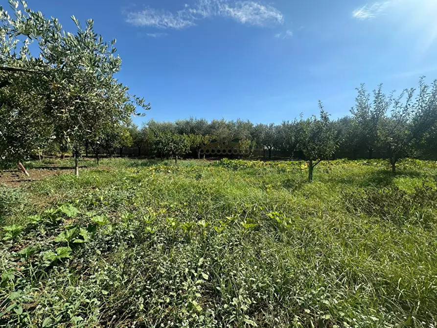 Immagine 15 di Terreno residenziale in vendita  in zona nazionale a Capua