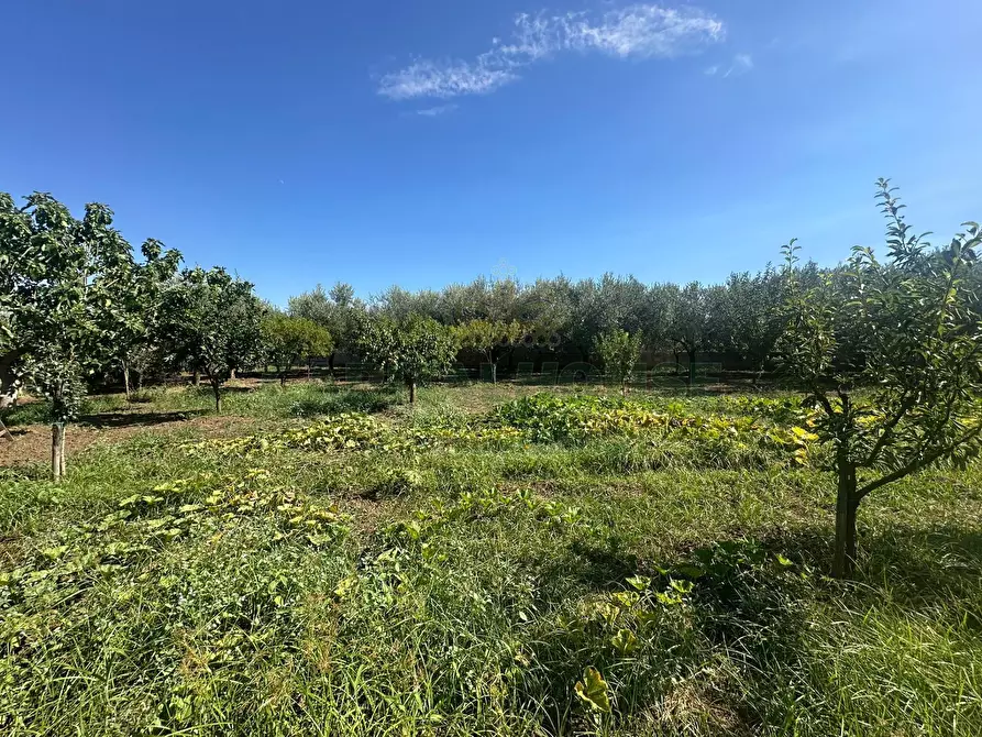 Immagine 16 di Terreno residenziale in vendita  in zona nazionale a Capua