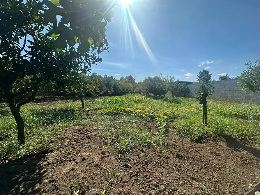 Immagine 17 di Terreno residenziale in vendita  in zona nazionale a Capua