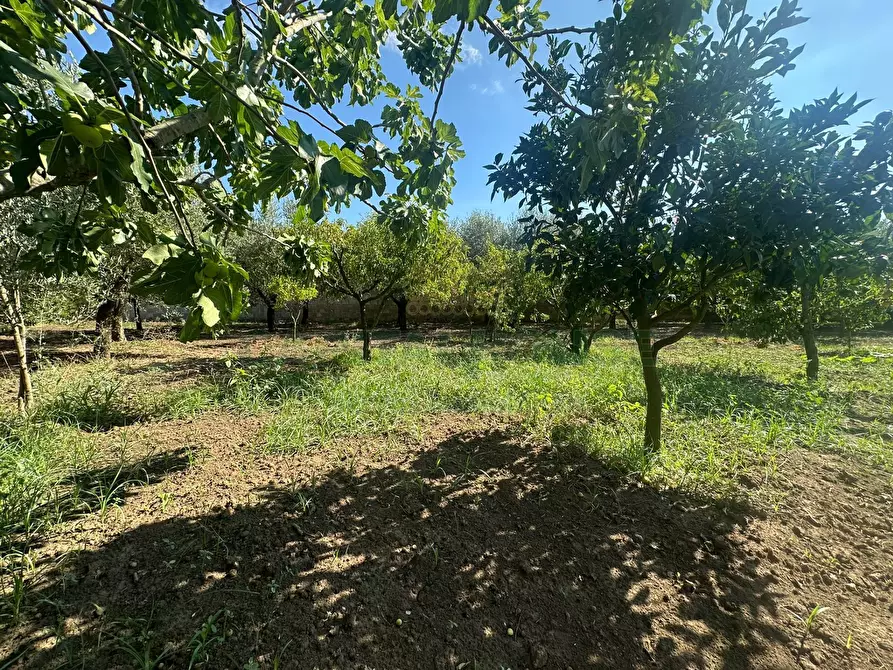 Immagine 18 di Terreno residenziale in vendita  in zona nazionale a Capua