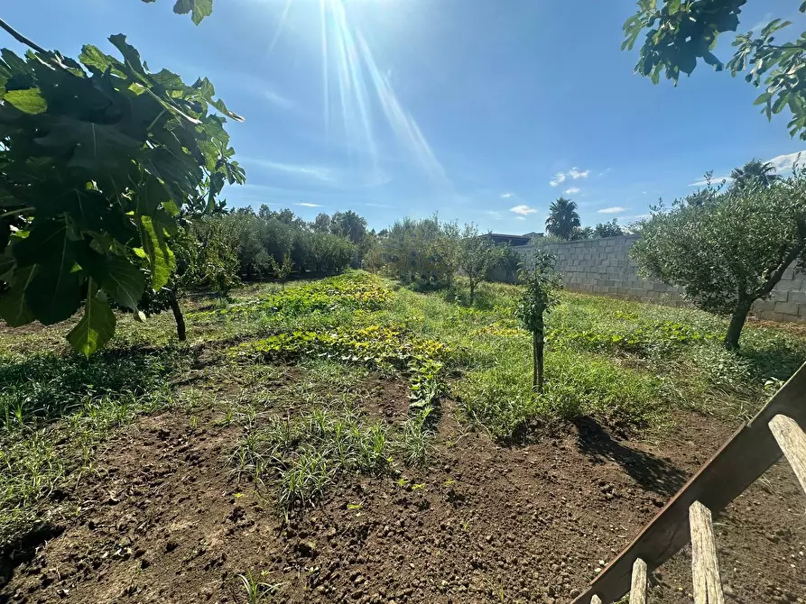 Immagine 19 di Terreno residenziale in vendita  in zona nazionale a Capua