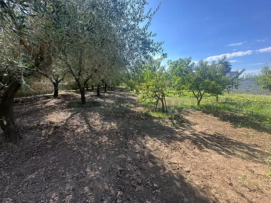 Immagine 20 di Terreno residenziale in vendita  in zona nazionale a Capua