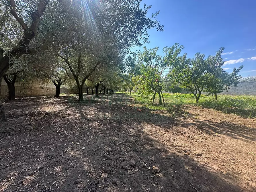 Immagine 22 di Terreno residenziale in vendita  in zona nazionale a Capua