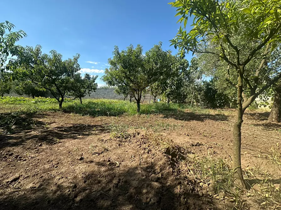 Immagine 24 di Terreno residenziale in vendita  in zona nazionale a Capua
