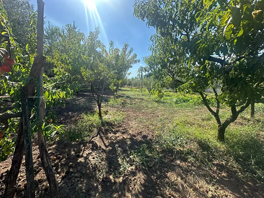 Immagine 25 di Terreno residenziale in vendita  in zona nazionale a Capua
