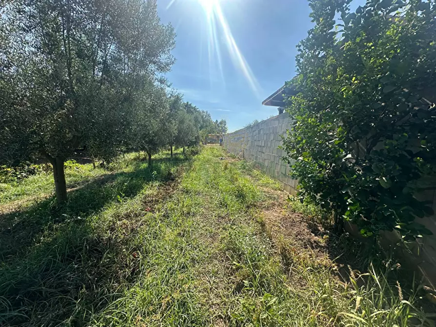 Immagine 26 di Terreno residenziale in vendita  in zona nazionale a Capua