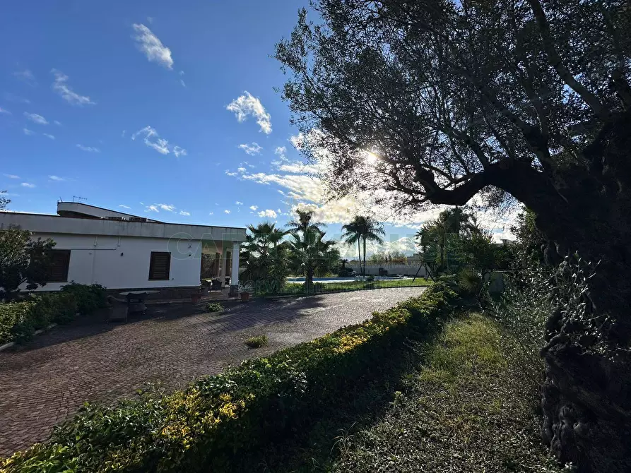 Immagine 15 di Villa in affitto  in via Lavinaio I tratto a Ottaviano