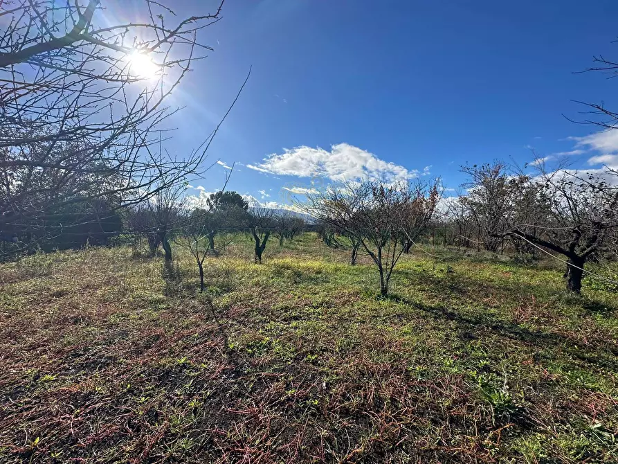Immagine 7 di Terreno agricolo in vendita  in via vicinale ottanta moggia a Cercola