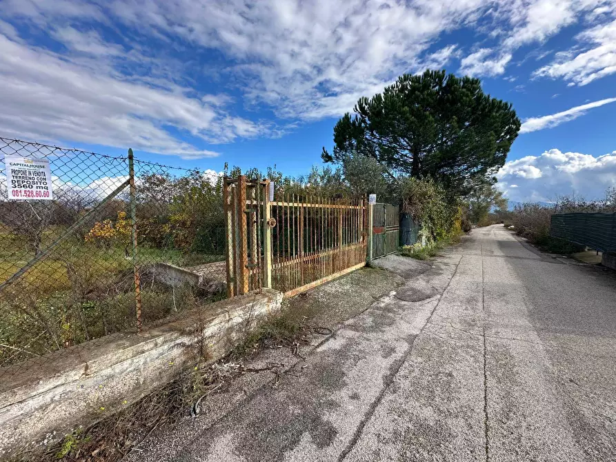 Immagine 8 di Terreno agricolo in vendita  in via vicinale ottanta moggia a Cercola