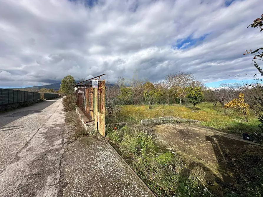 Immagine 9 di Terreno agricolo in vendita  in via vicinale ottanta moggia a Cercola