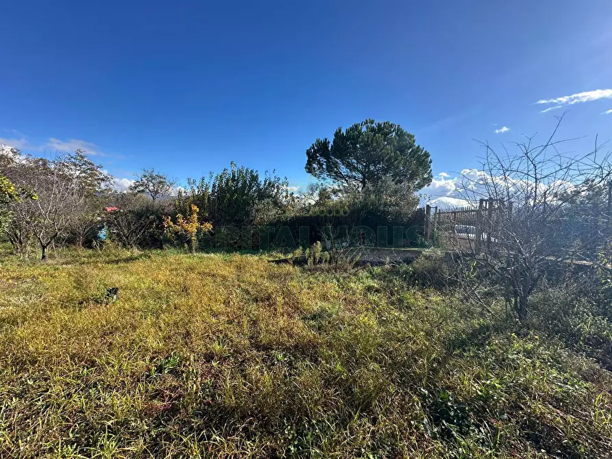 Immagine 10 di Terreno agricolo in vendita  in via vicinale ottanta moggia a Cercola