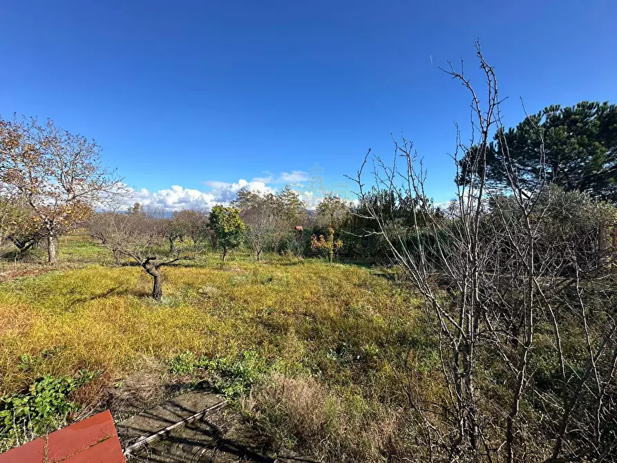 Immagine 11 di Terreno agricolo in vendita  in via vicinale ottanta moggia a Cercola