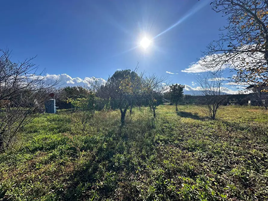 Immagine 12 di Terreno agricolo in vendita  in via vicinale ottanta moggia a Cercola