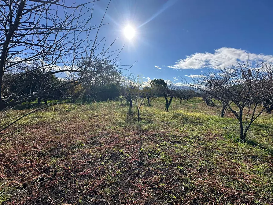 Immagine 13 di Terreno agricolo in vendita  in via vicinale ottanta moggia a Cercola