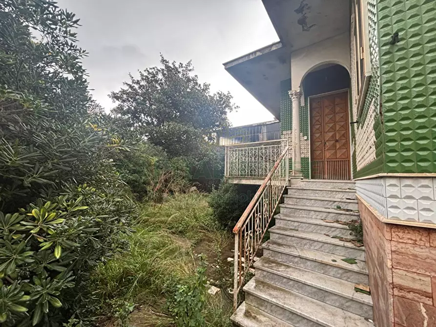Immagine 6 di Villa in vendita  a Castel San Giorgio