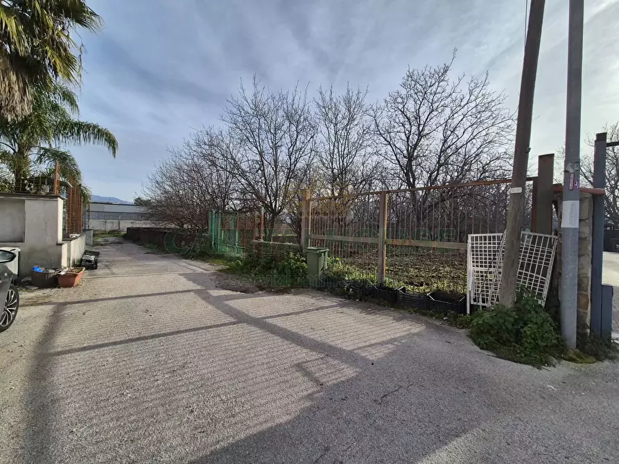 Immagine 11 di Terreno agricolo in vendita  in via giugliani a Cercola