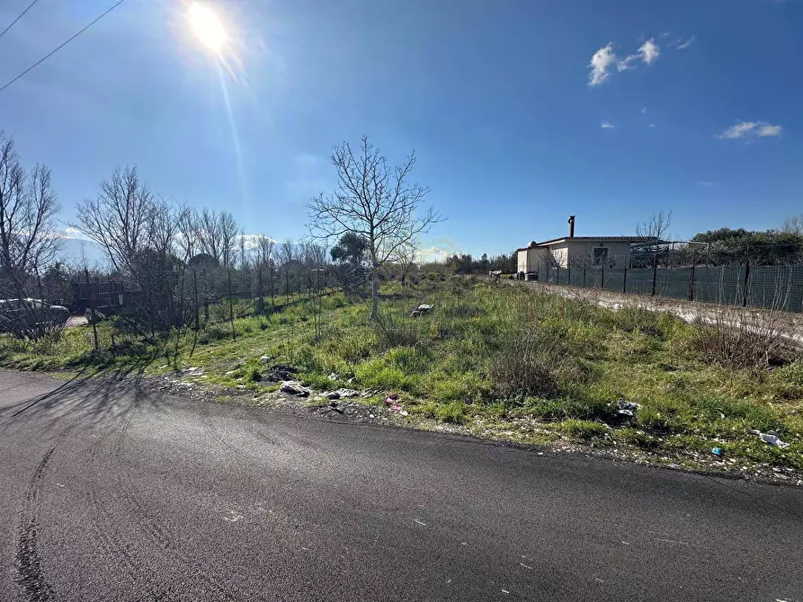Immagine 5 di Terreno agricolo in vendita  in via Vicinale Mauro Vecchio a Cercola