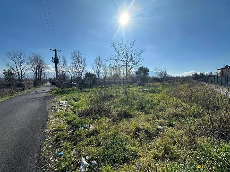 Immagine 6 di Terreno agricolo in vendita  in via Vicinale Mauro Vecchio a Cercola