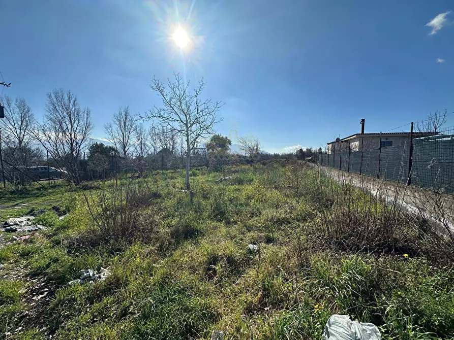 Immagine 2 di Terreno agricolo in vendita  in via Vicinale Mauro Vecchio a Cercola