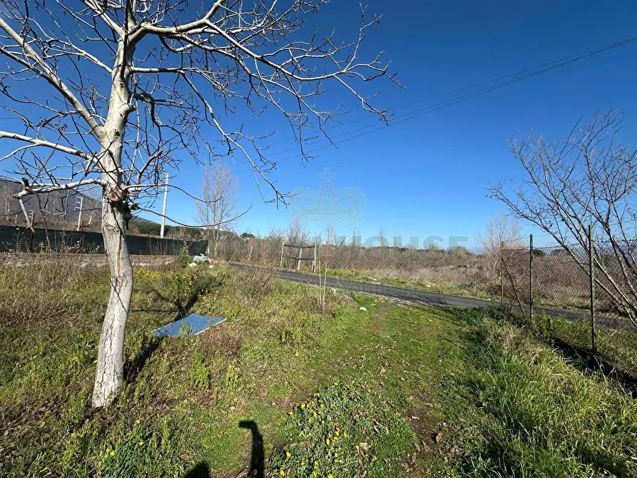 Immagine 7 di Terreno agricolo in vendita  in via Vicinale Mauro Vecchio a Cercola