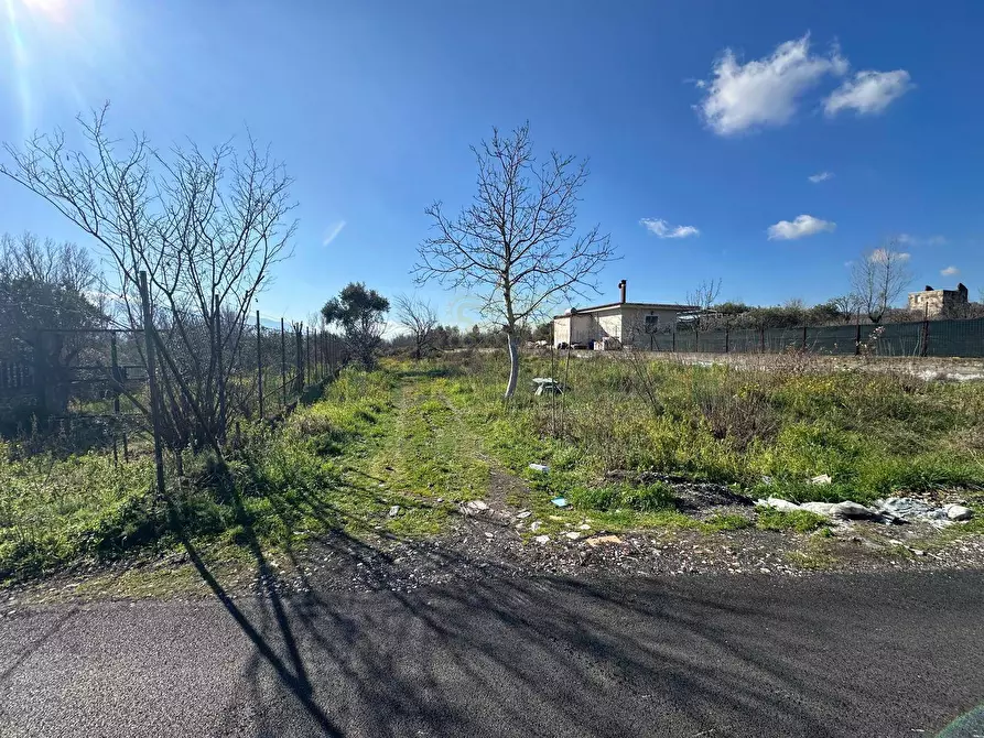 Immagine 9 di Terreno agricolo in vendita  in via Vicinale Mauro Vecchio a Cercola