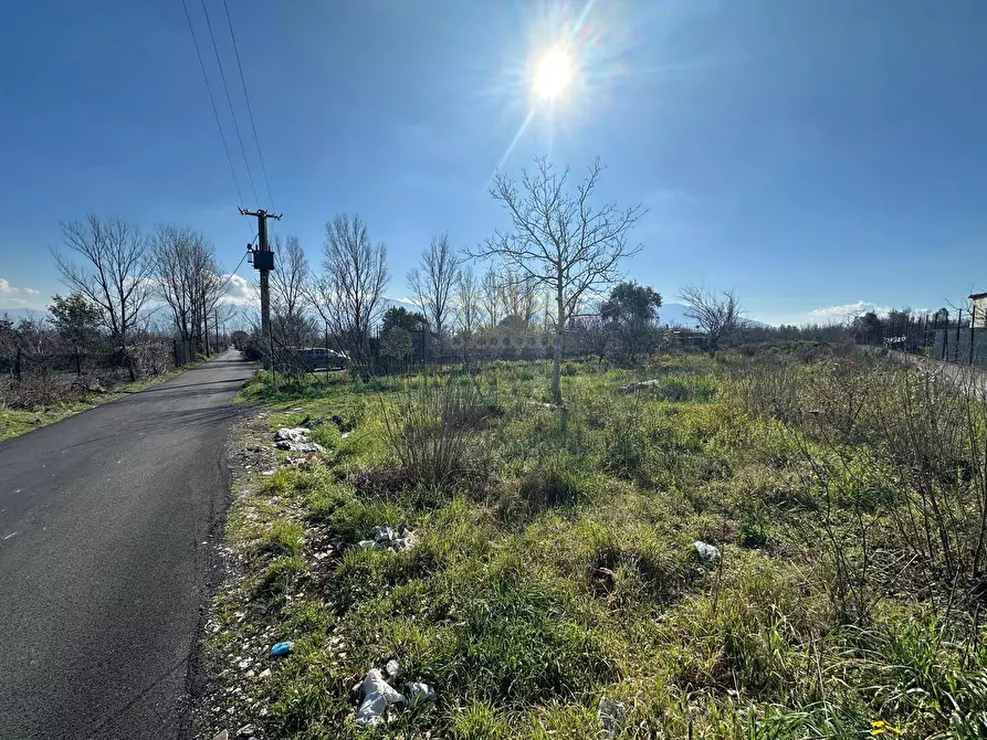 Immagine 10 di Terreno agricolo in vendita  in via Vicinale Mauro Vecchio a Cercola