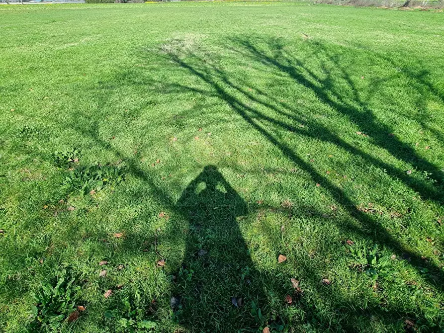 Immagine 1 di Terreno agricolo in vendita  a Marcianise