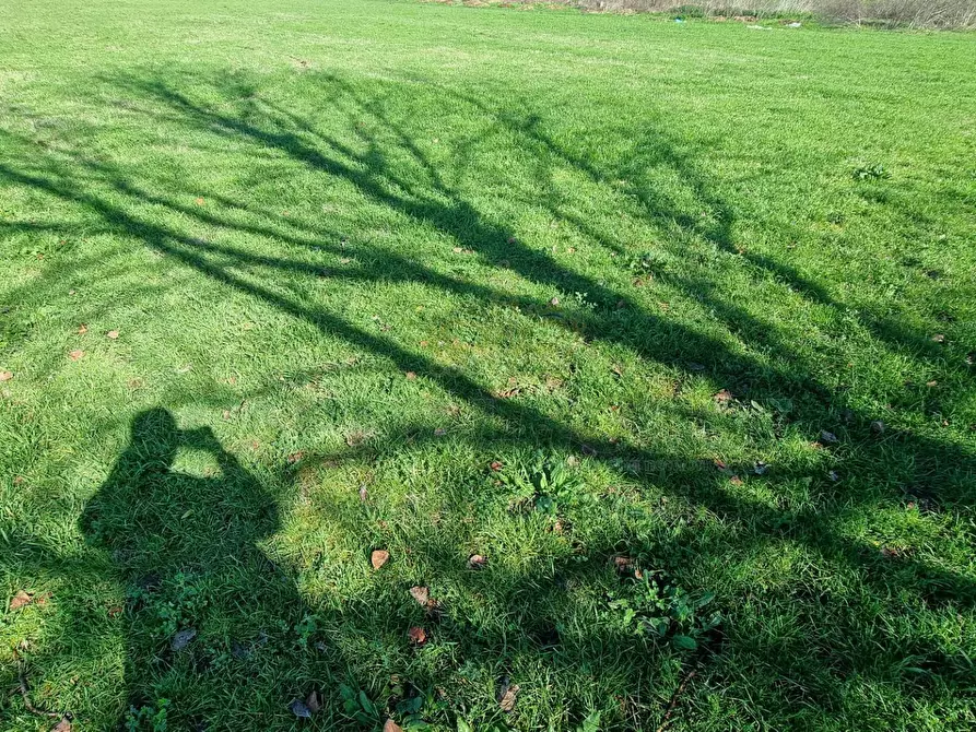Immagine 3 di Terreno agricolo in vendita  a Marcianise