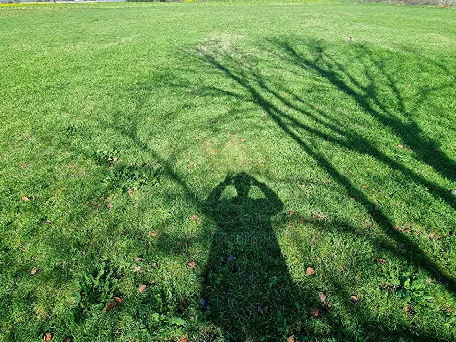 Immagine 4 di Terreno agricolo in vendita  a Marcianise