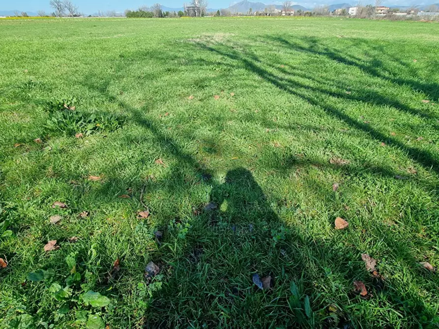 Immagine 6 di Terreno agricolo in vendita  a Marcianise