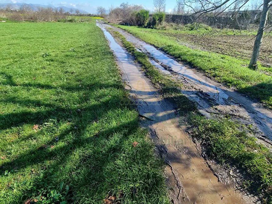 Immagine 8 di Terreno agricolo in vendita  a Marcianise
