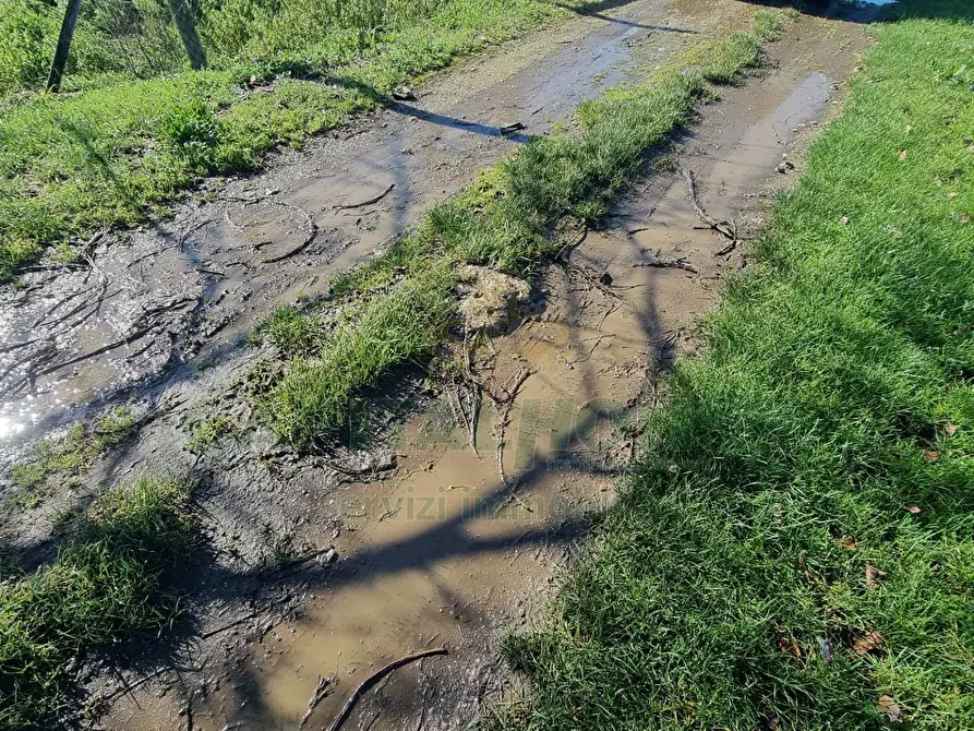 Immagine 9 di Terreno agricolo in vendita  a Marcianise