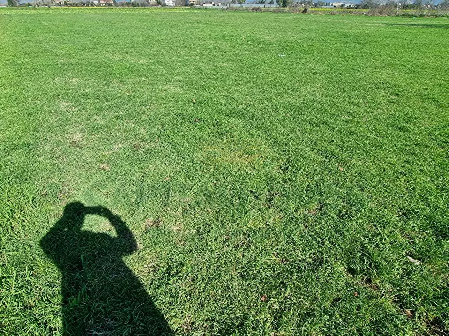 Immagine 10 di Terreno agricolo in vendita  a Marcianise