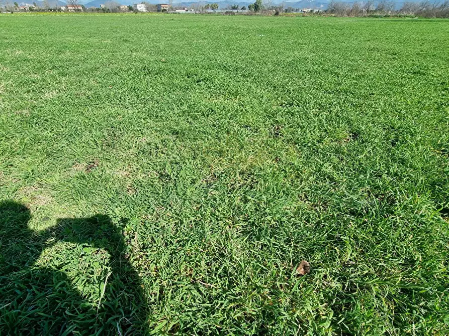 Immagine 11 di Terreno agricolo in vendita  a Marcianise