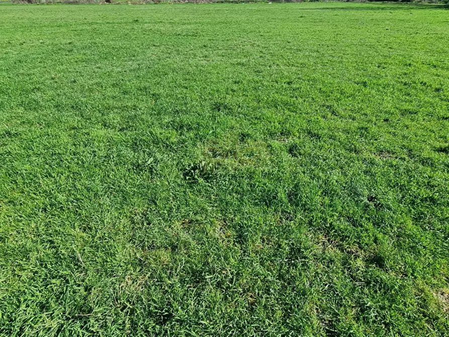 Immagine 12 di Terreno agricolo in vendita  a Marcianise