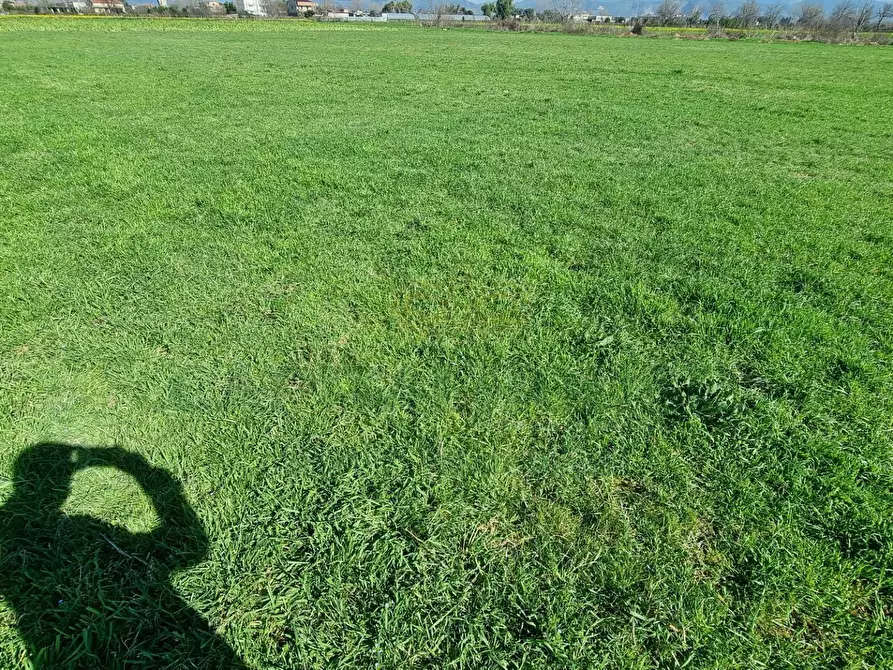 Immagine 13 di Terreno agricolo in vendita  a Marcianise