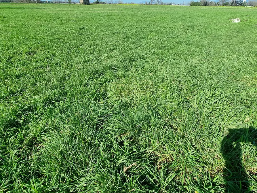 Immagine 15 di Terreno agricolo in vendita  a Marcianise
