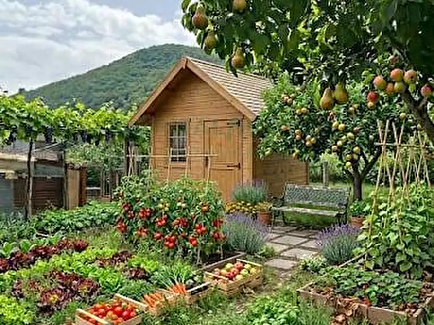 Immagine 13 di Casa semindipendente in vendita  a Mercato San Severino