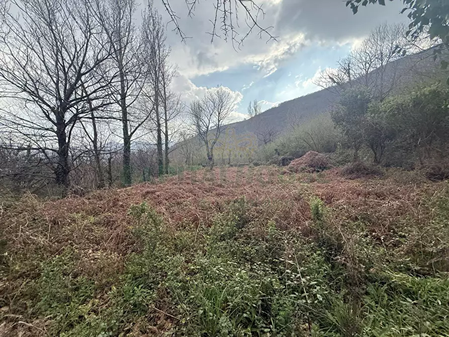 Immagine 4 di Terreno agricolo in vendita  in Via Largo di Carifi a Mercato San Severino