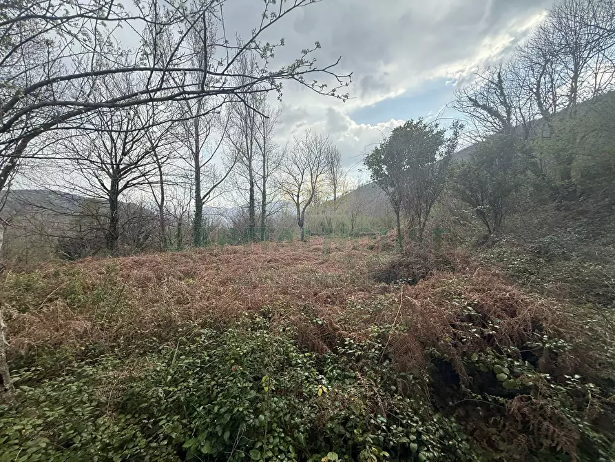 Immagine 5 di Terreno agricolo in vendita  in Via Largo di Carifi a Mercato San Severino
