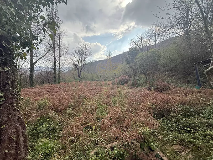 Immagine 6 di Terreno agricolo in vendita  in Via Largo di Carifi a Mercato San Severino