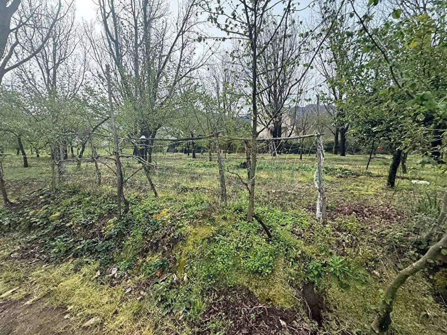 Immagine 2 di Locale commerciale in vendita  a Mercato San Severino