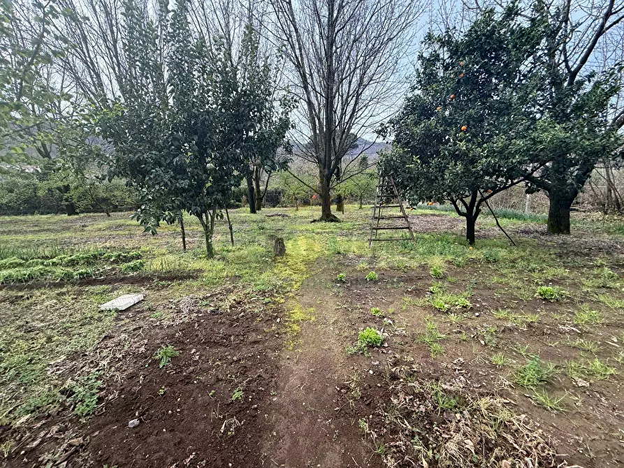 Immagine 4 di Locale commerciale in vendita  a Mercato San Severino