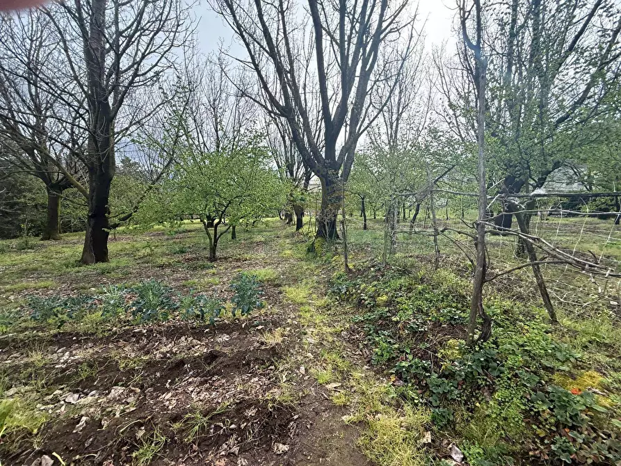 Immagine 5 di Locale commerciale in vendita  a Mercato San Severino