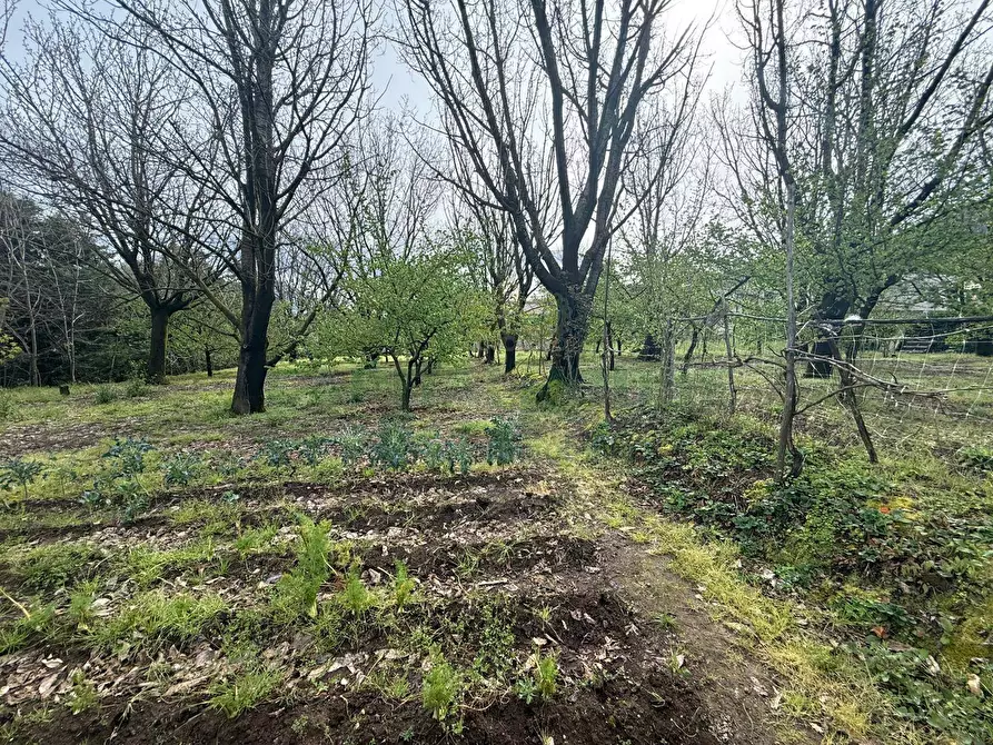 Immagine 6 di Locale commerciale in vendita  a Mercato San Severino