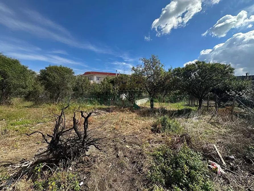 Immagine 7 di Rustico / casale in vendita  in via nappi a San Giuseppe Vesuviano