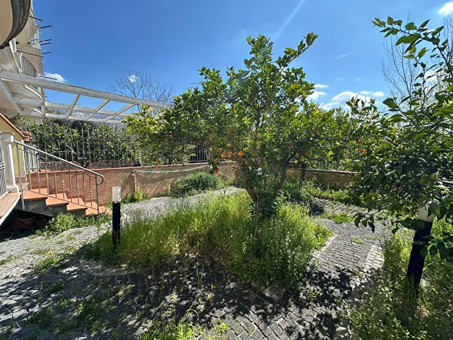 Immagine 4 di Villa in vendita  in via nola a Cercola