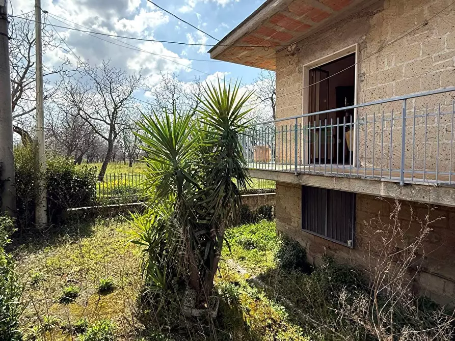 Immagine 15 di Casa indipendente in vendita  in Via Cerqueto a Roccarainola