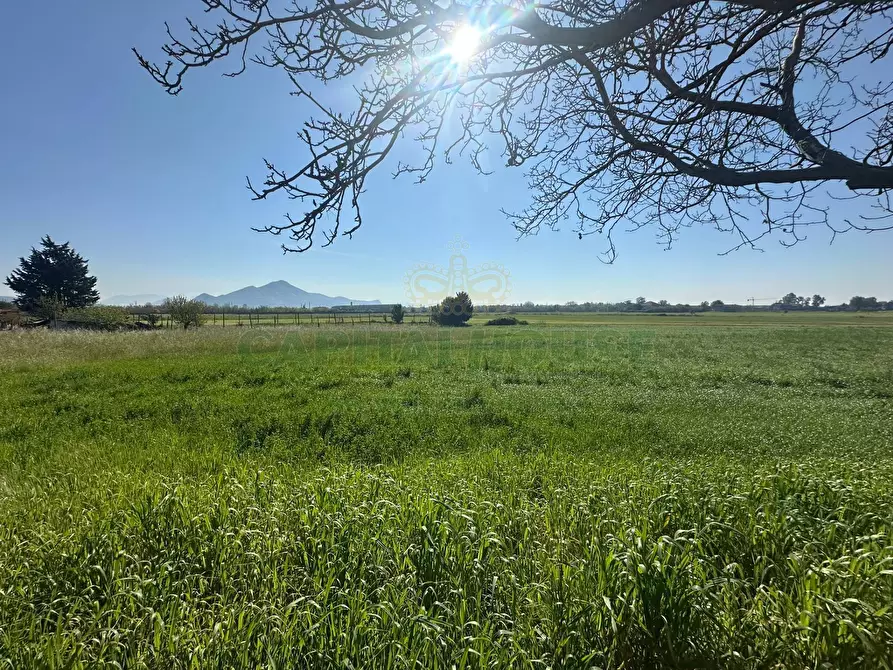 Immagine 3 di Terreno residenziale in vendita  in VIA SILVAGNI a Capua